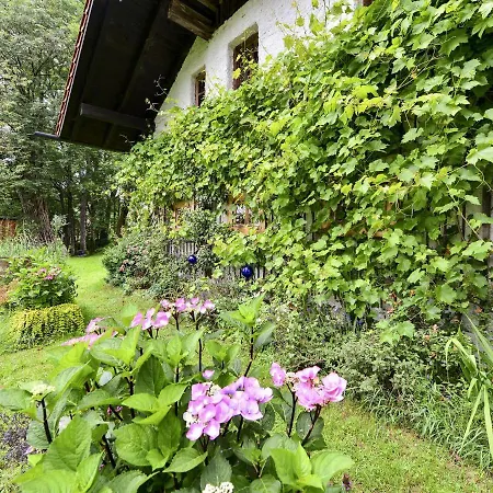 度假居 Traditional In Altreichenau With Garden